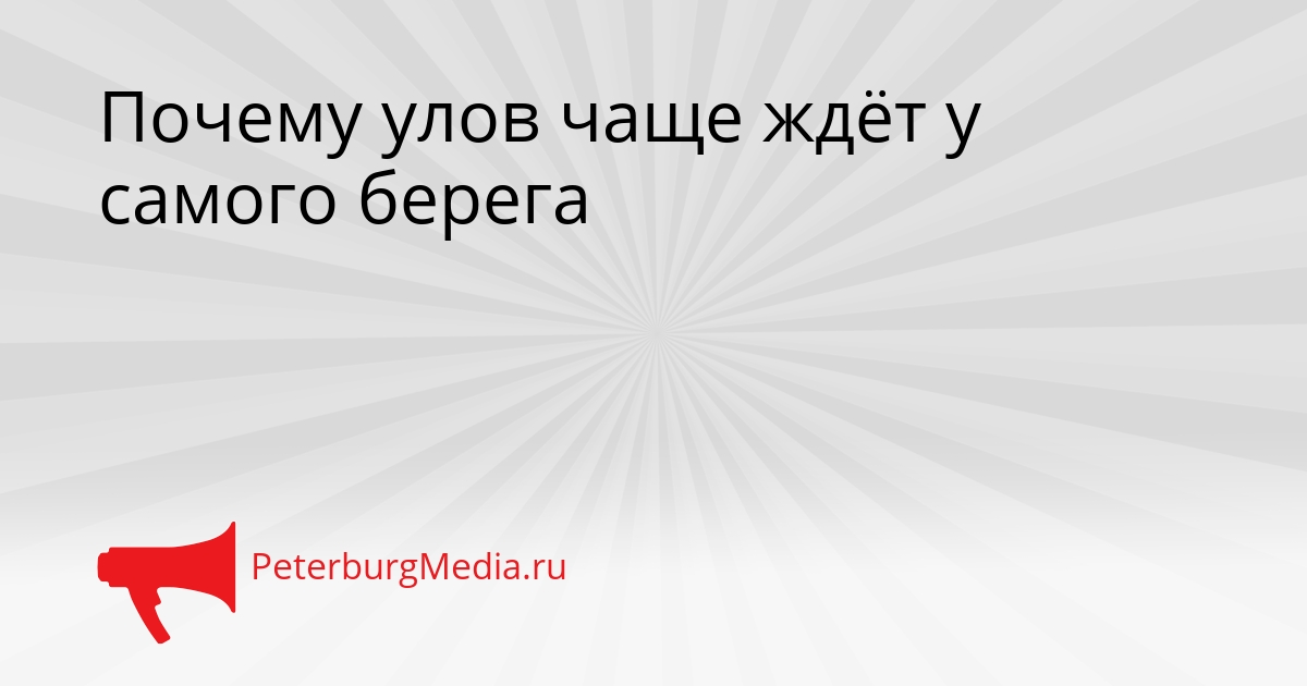 Почему улов чаще ждёт у самого берега Сгенерировано
