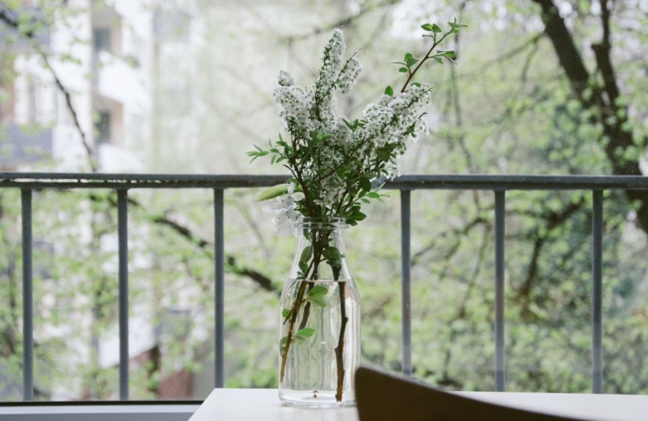 Тематическое фото pxhere.com