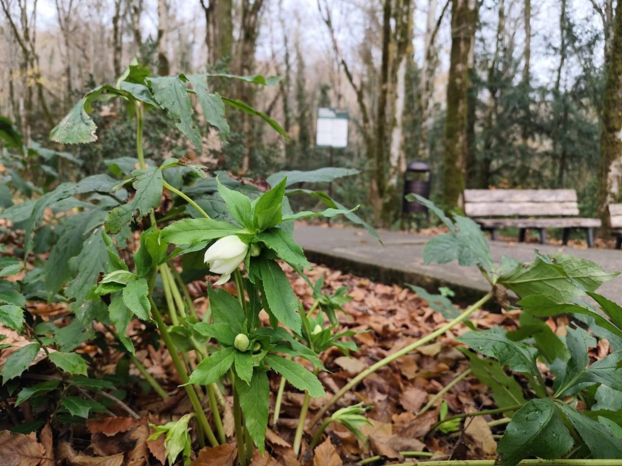 Кавказский заповедник