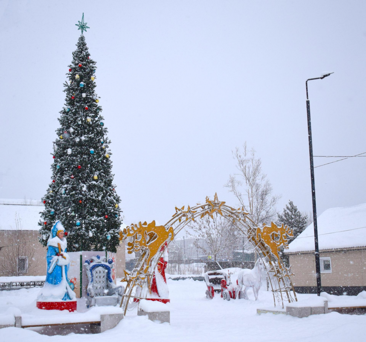 представлено администрацией Александровск-Сахалинского муниципального округа