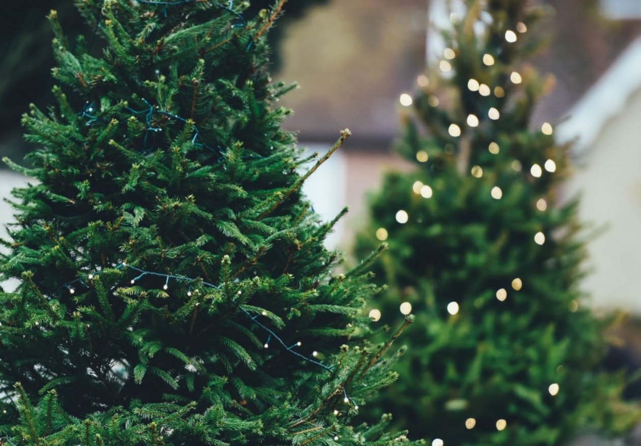 Тематическое фото pxhere.com