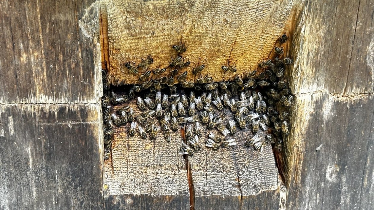 Тематическое фото ИА PrimaMedia