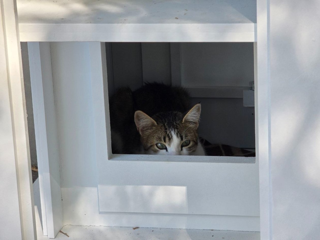 Тематическое фото Алексей Парамонов, ИА SevastopolMedia