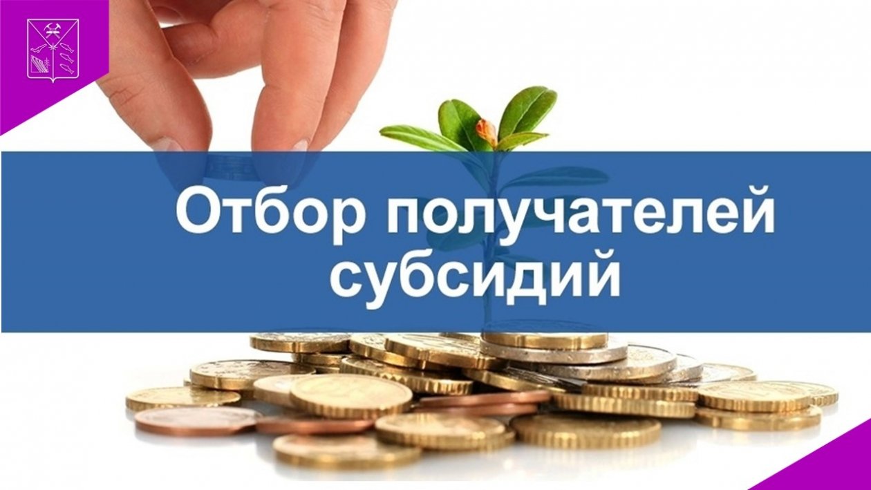 Тематическое фото Правительство Магаданской области