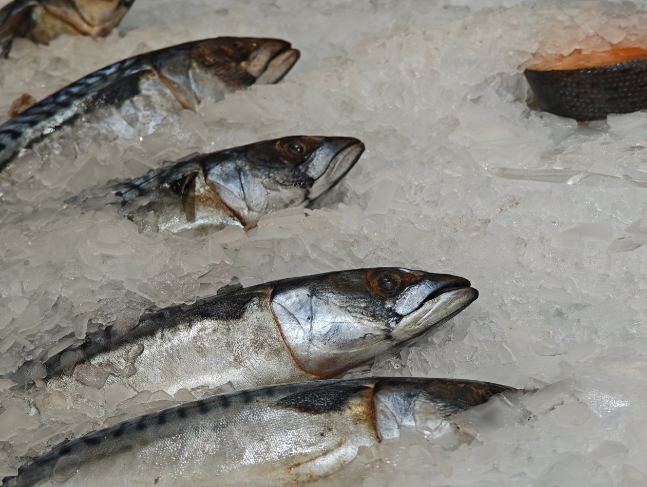 Анастасия Вострецова, корр. ИА AngarskMedia