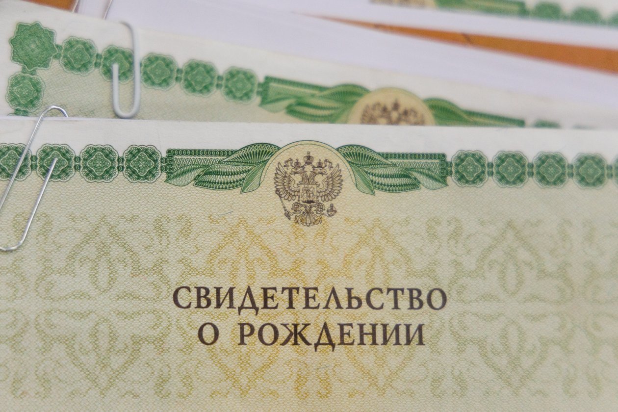 Свидетельство о рождении Евгений  Кулешов, ИА PrimaMedia.ru