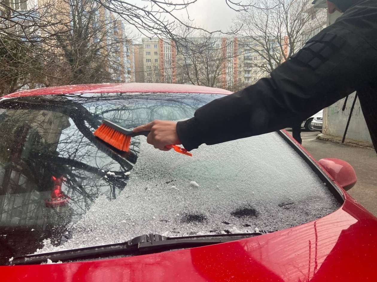 Тру лобовое этим фруктом и забываю про лед на стекле - зимой не напрягаюсь и с щеткой не бегаю ИА SevastopolMedia
