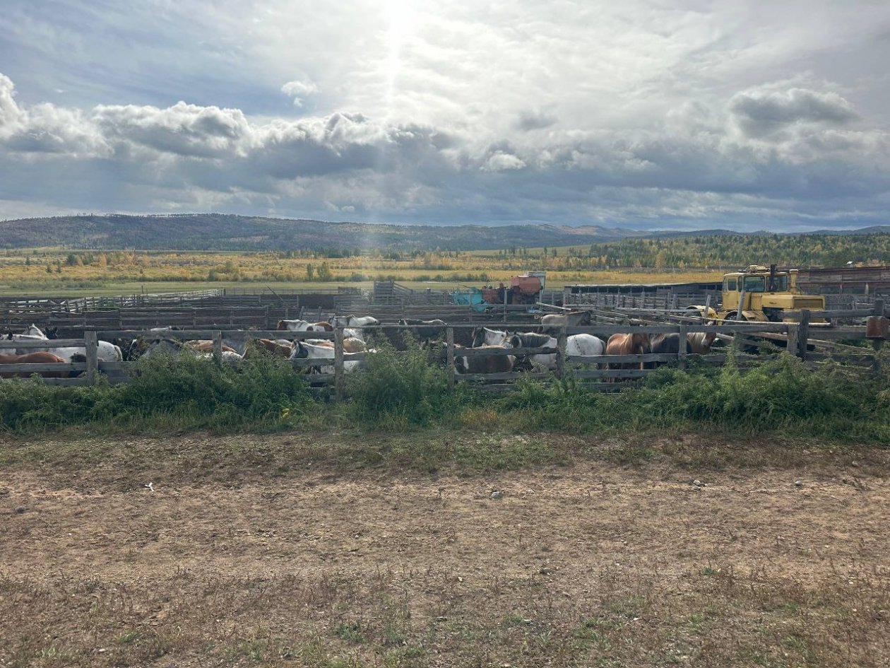 Сельскохозяйственное предприятия телеграм-канал (18+) &quotАмурской бассейновой природоохранной прокуратуры&quot