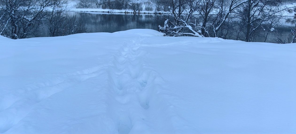 пресс-служба ФГБУ