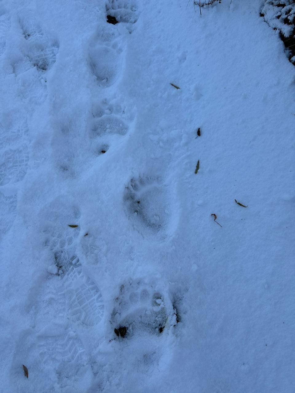 пресс-служба ФГБУ