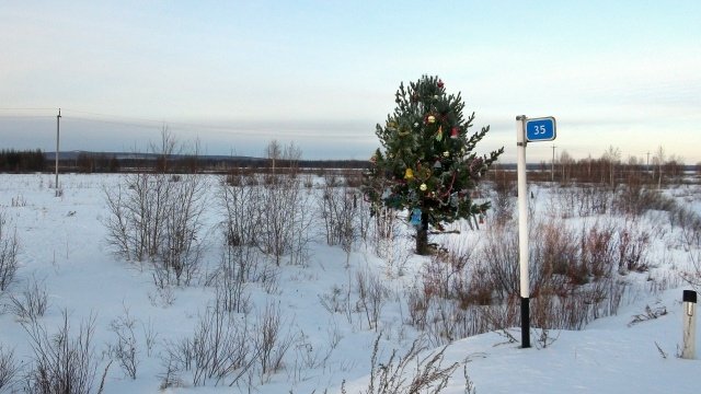 Ёлка Группа во &quotВконтакте&quot (18+) Совета Читинского округа