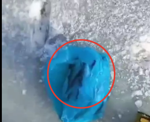 Скрин из видео тг-канал &quotvladivostok1ru&quot (18+)