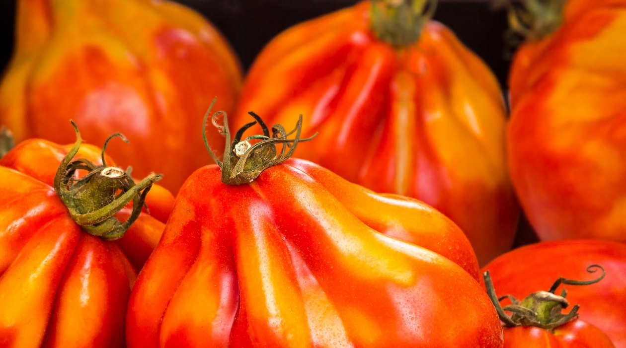 Тематическое фото pxhere.com (18+)