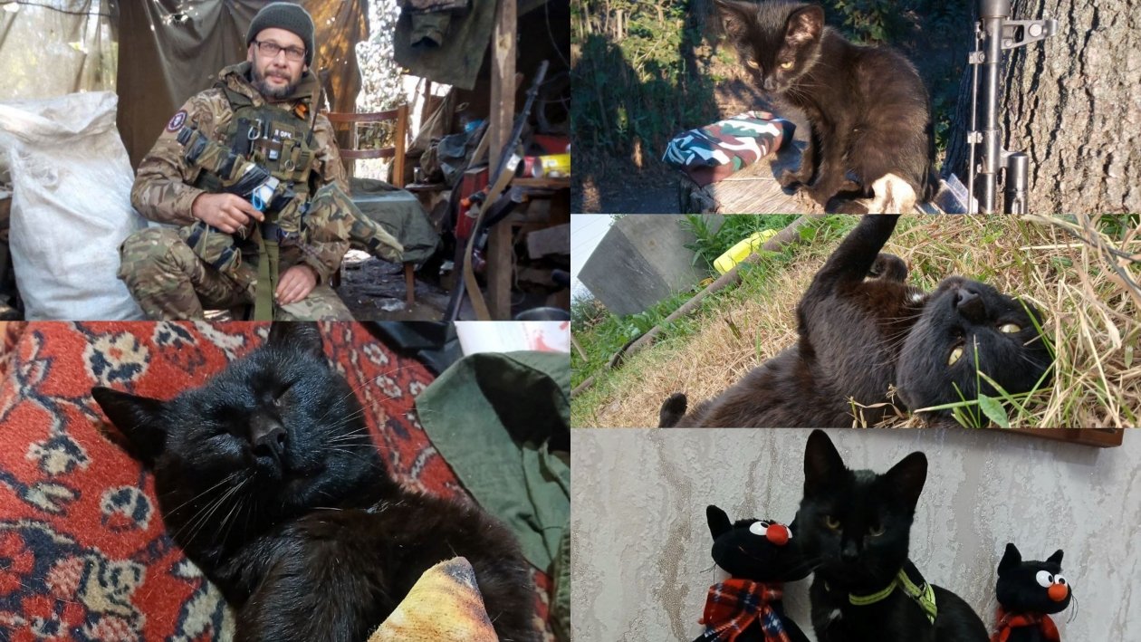 Ангарский боец спас кота Трехсотника в зоне СВО  Тг-канал (18+) мэра Ангарского округа