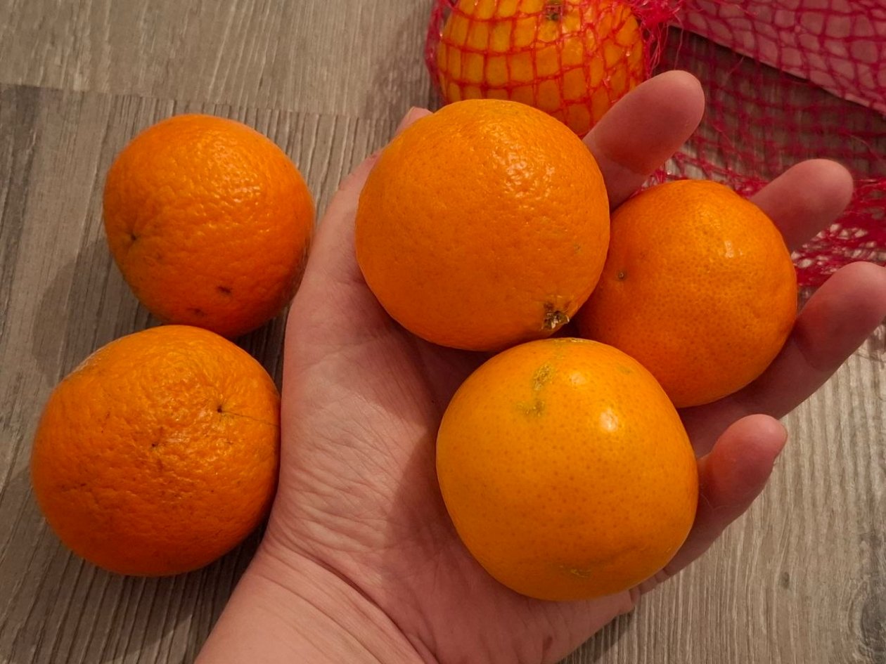  ИА SevastopolMedia