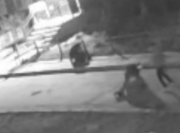 Паблик Услышано в