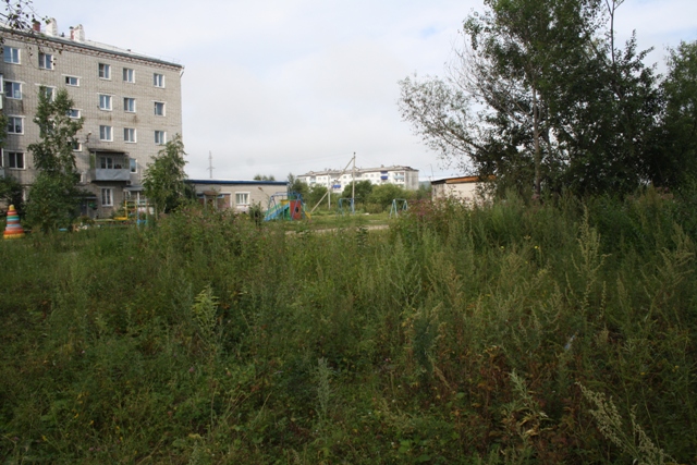 Площадь пустыря - около 2 тысяч кв. метров, Фото с места события собственное