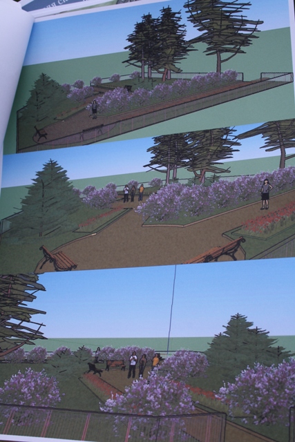 Сквер с кустарниками сирени, Фото с места события собственное