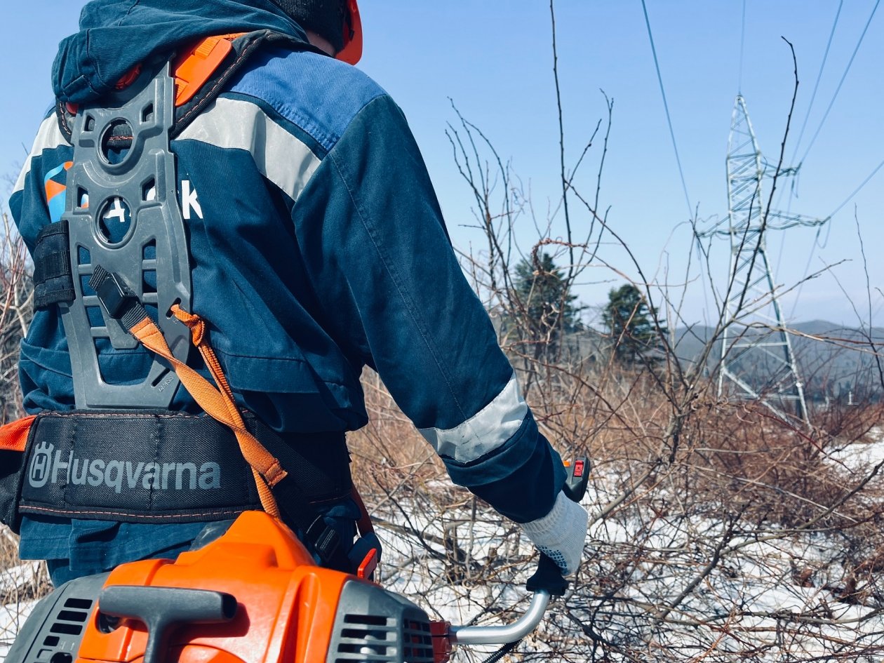 Тематическая иллюстрация пресс-служба ДРСК