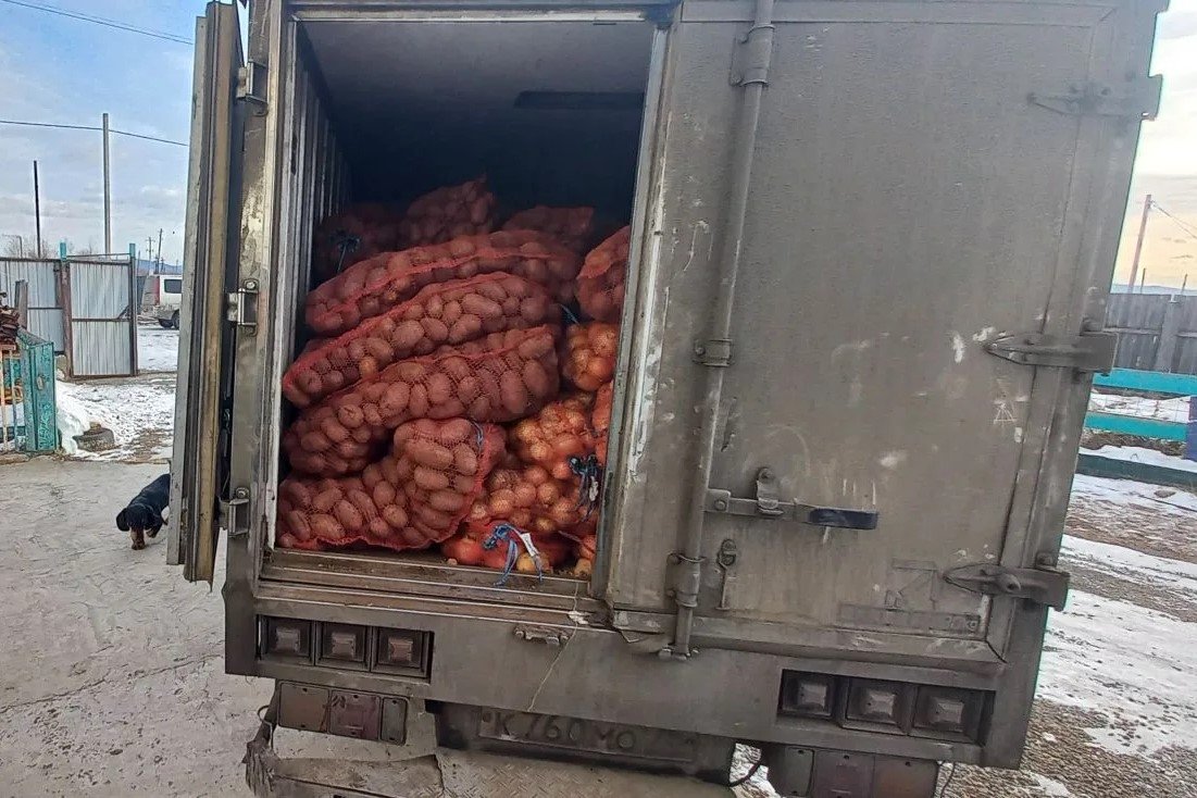 Картофель Минсельхоза Забайкалья