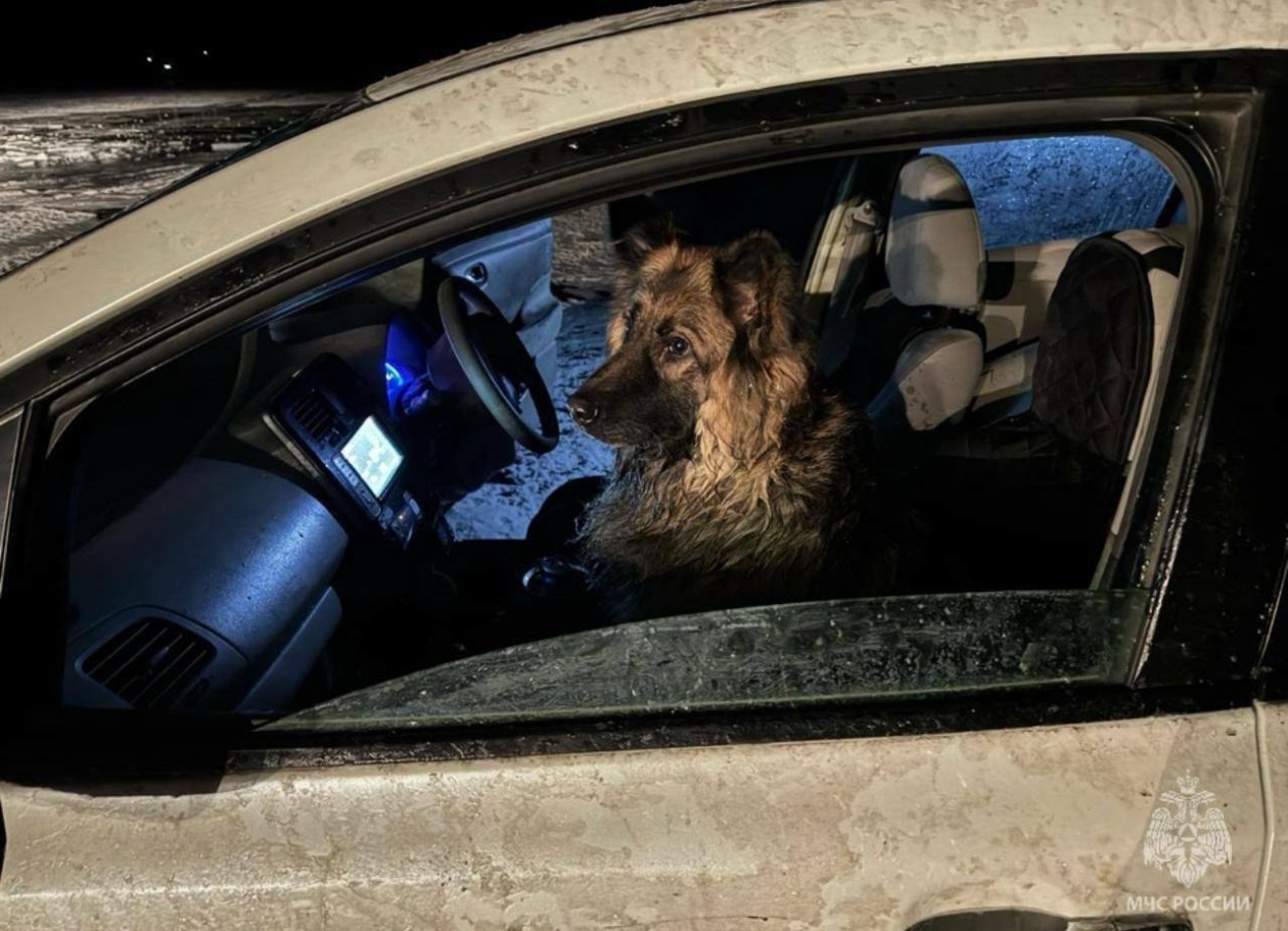 Пресс-служба ГУ МЧС России по Иркутской области