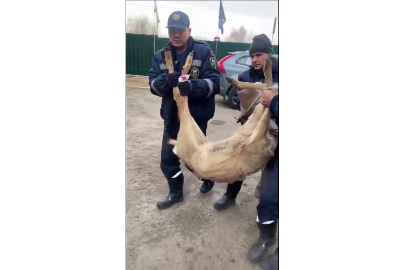 Пресс-служба администрации Иркутска