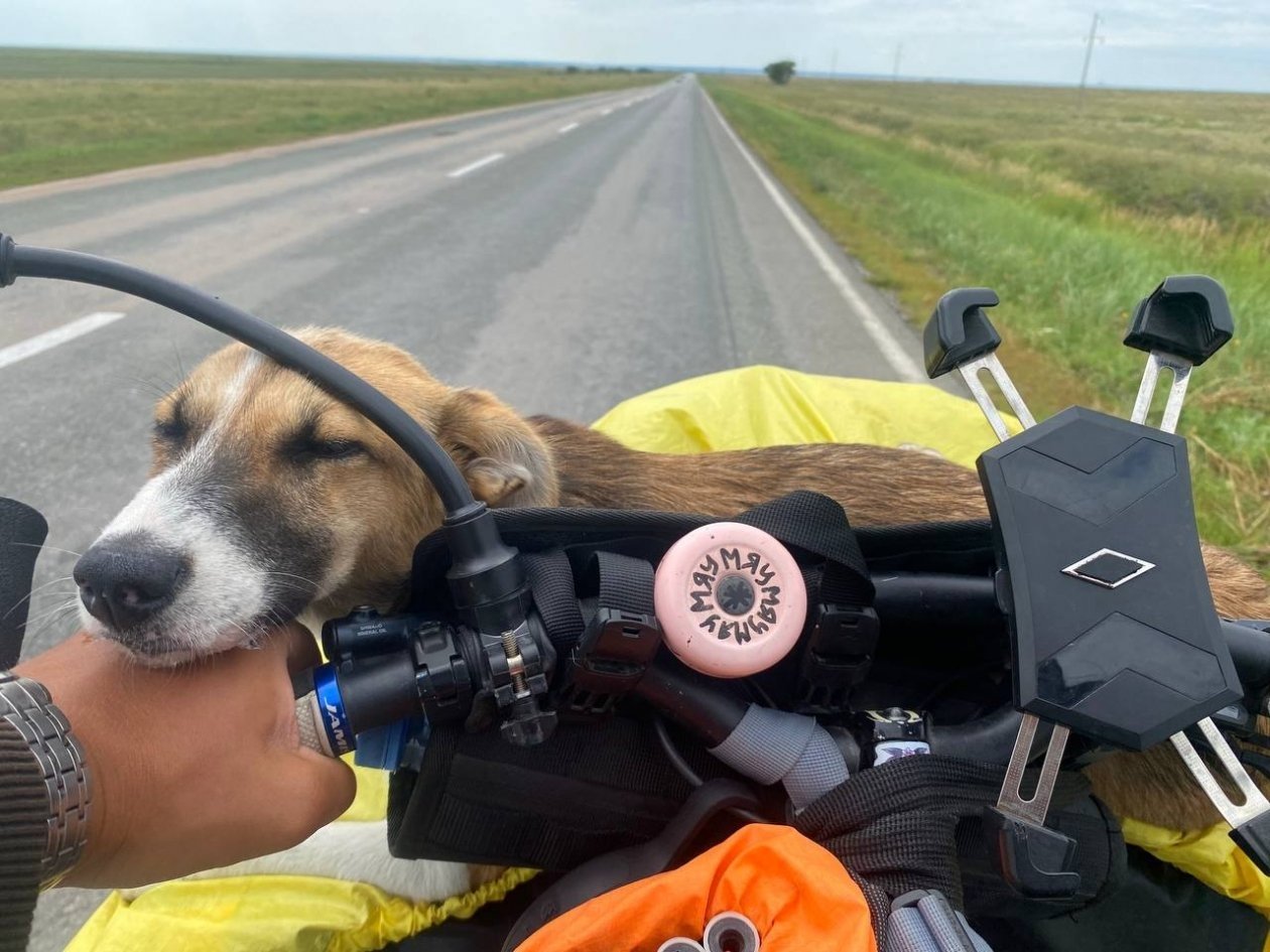 Тг-канал (18+) 