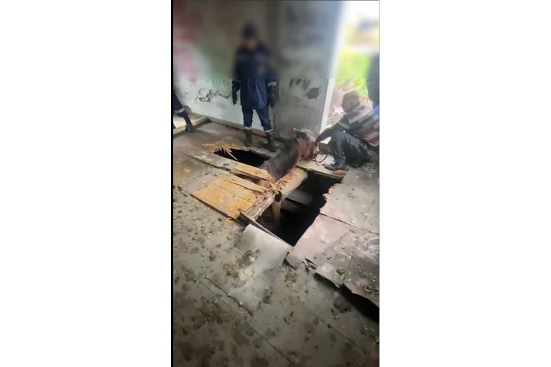 Пресс-служба администрации Иркутска