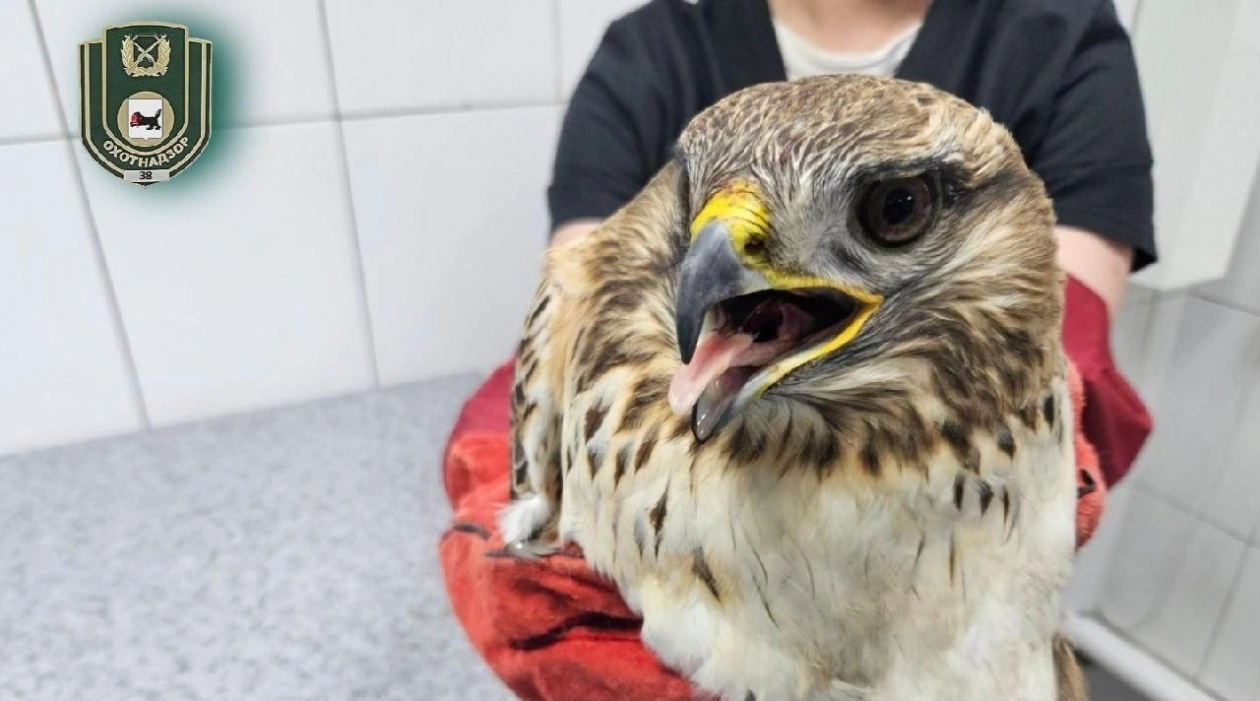 тг-канал (18+) 