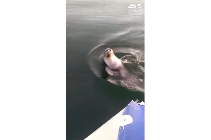 тг-канал (18+) 