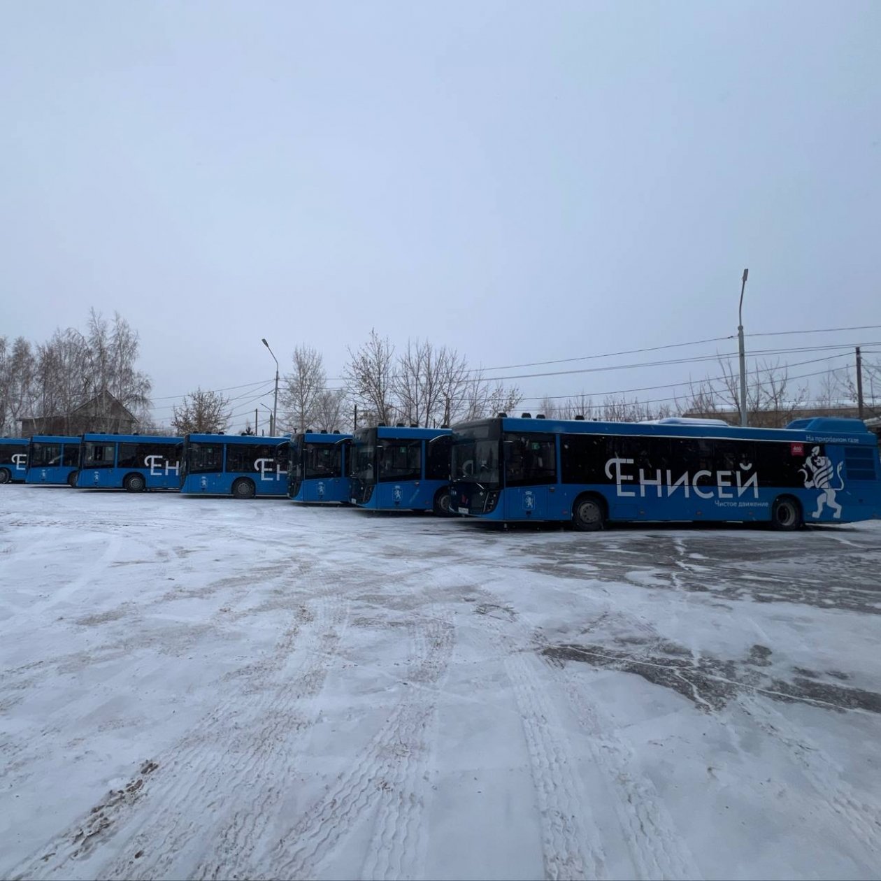 . пресс-служба Дептранса Красноярска