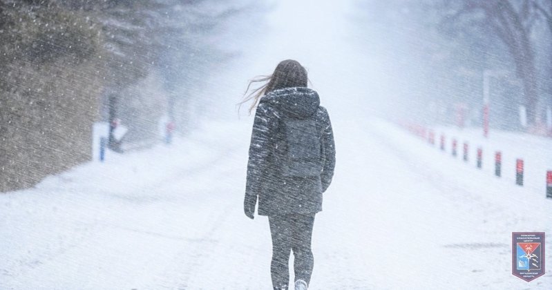 Тематическое фото 