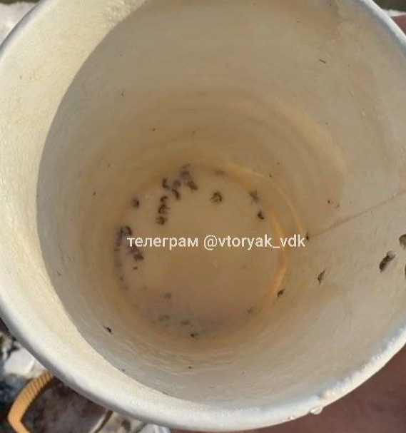 Фото очевидцев тг-канал &quotvtoryak_vdk&quot (18+)