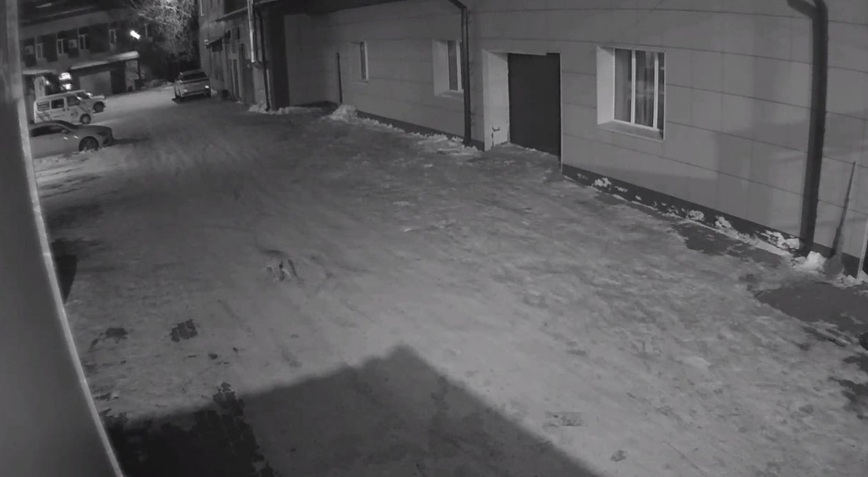 Несколько дней назад рысь отловили возле Первомайского парка скриншот видео - телеграм-канал @ivolgadv28 (18+)