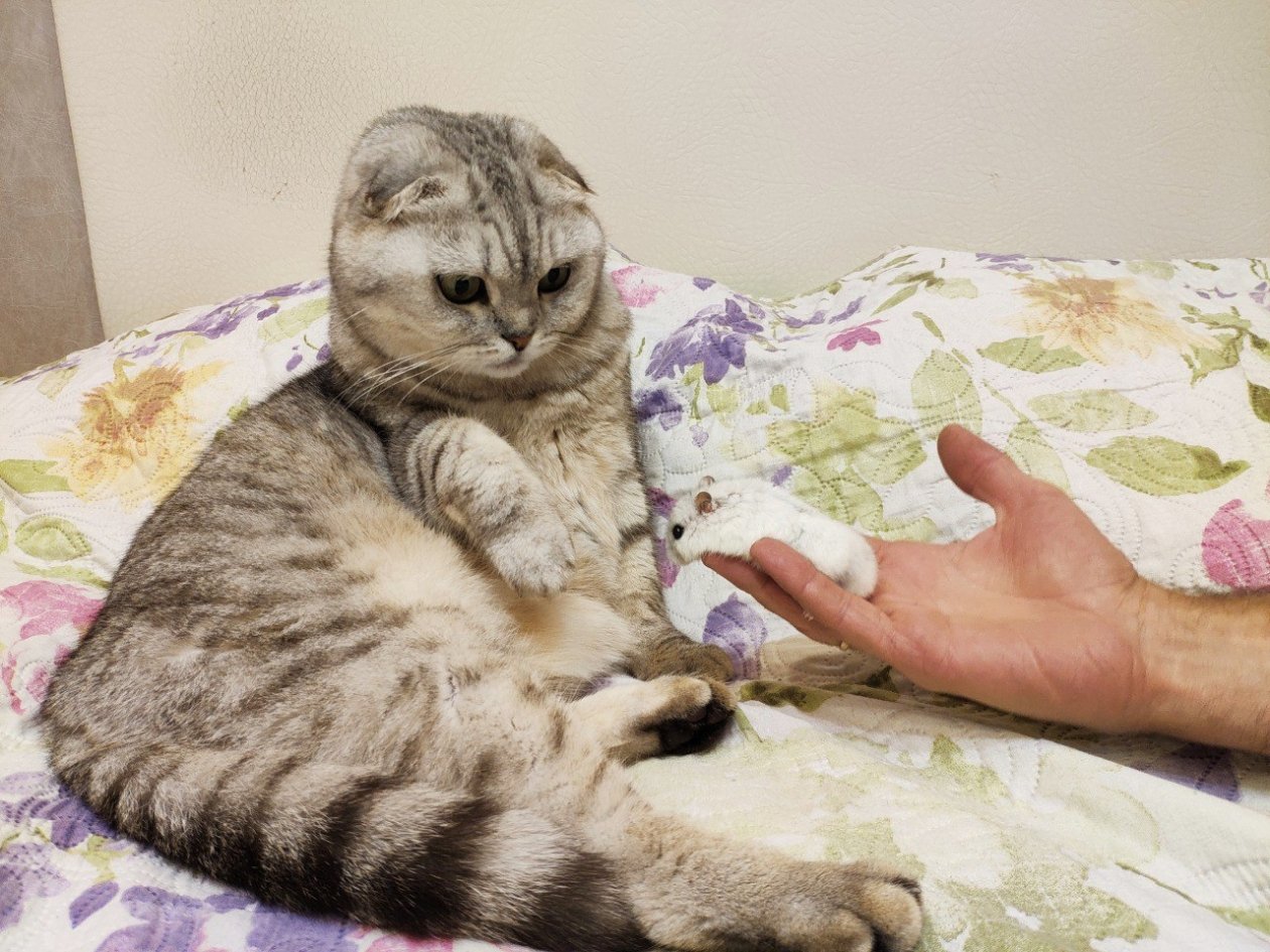 Тематическое фото ИА Stavropol.Media