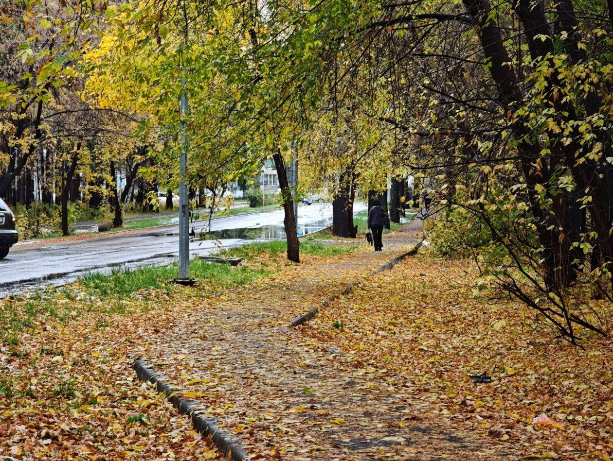 Анастасия Вострецова, корр. ИА AngarskMedia