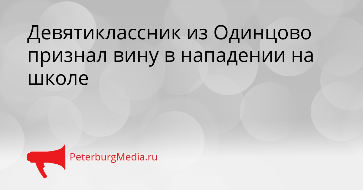 Девятиклассник из Одинцово признал вину в нападении на школе Сгенерировано