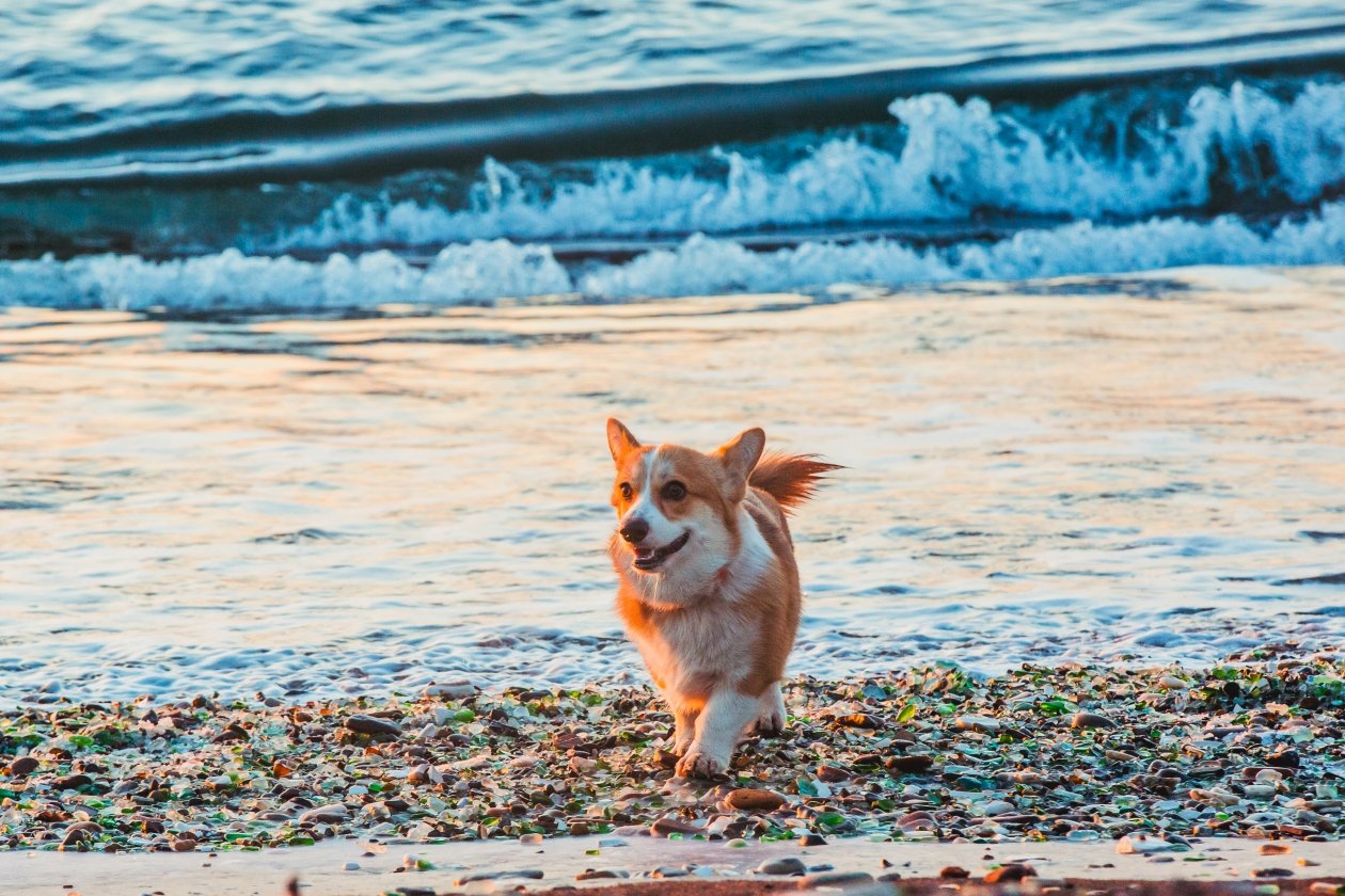 Тематическое фото ИА PrimaMedia