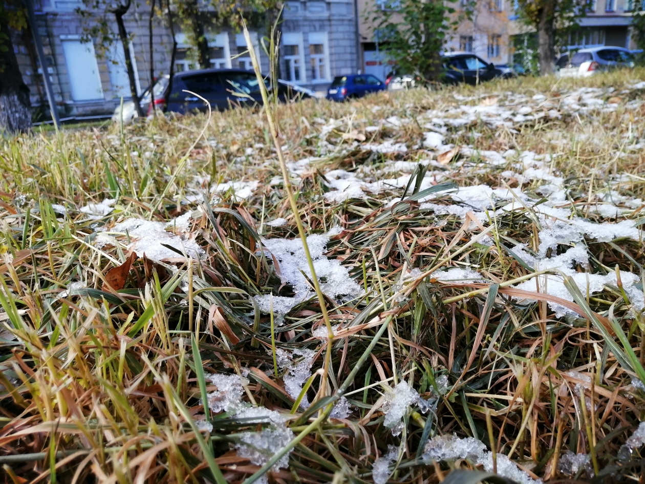 Ночные заморозки и гололед ожидаются в Краснодарском крае Анета  Абрамченко