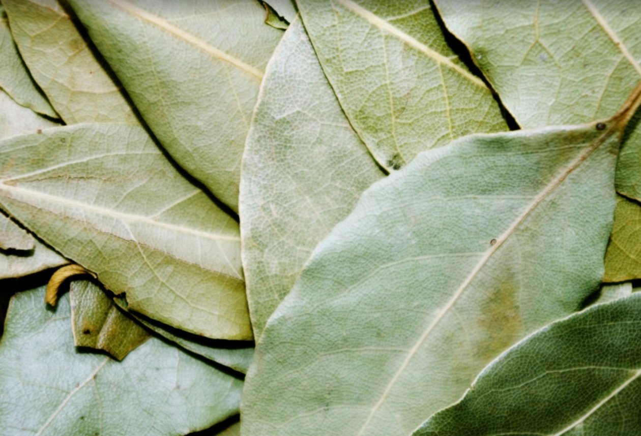 Тематическое фото pxhere.com