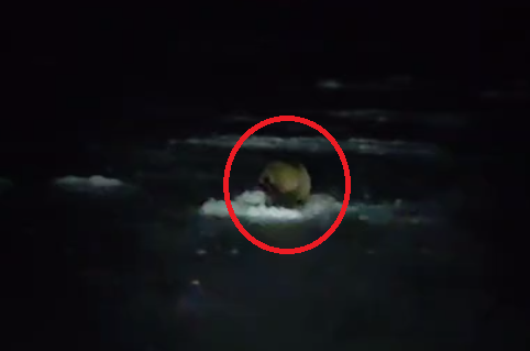 Скриншот тг-канал &quotulov25r&quot (18+)