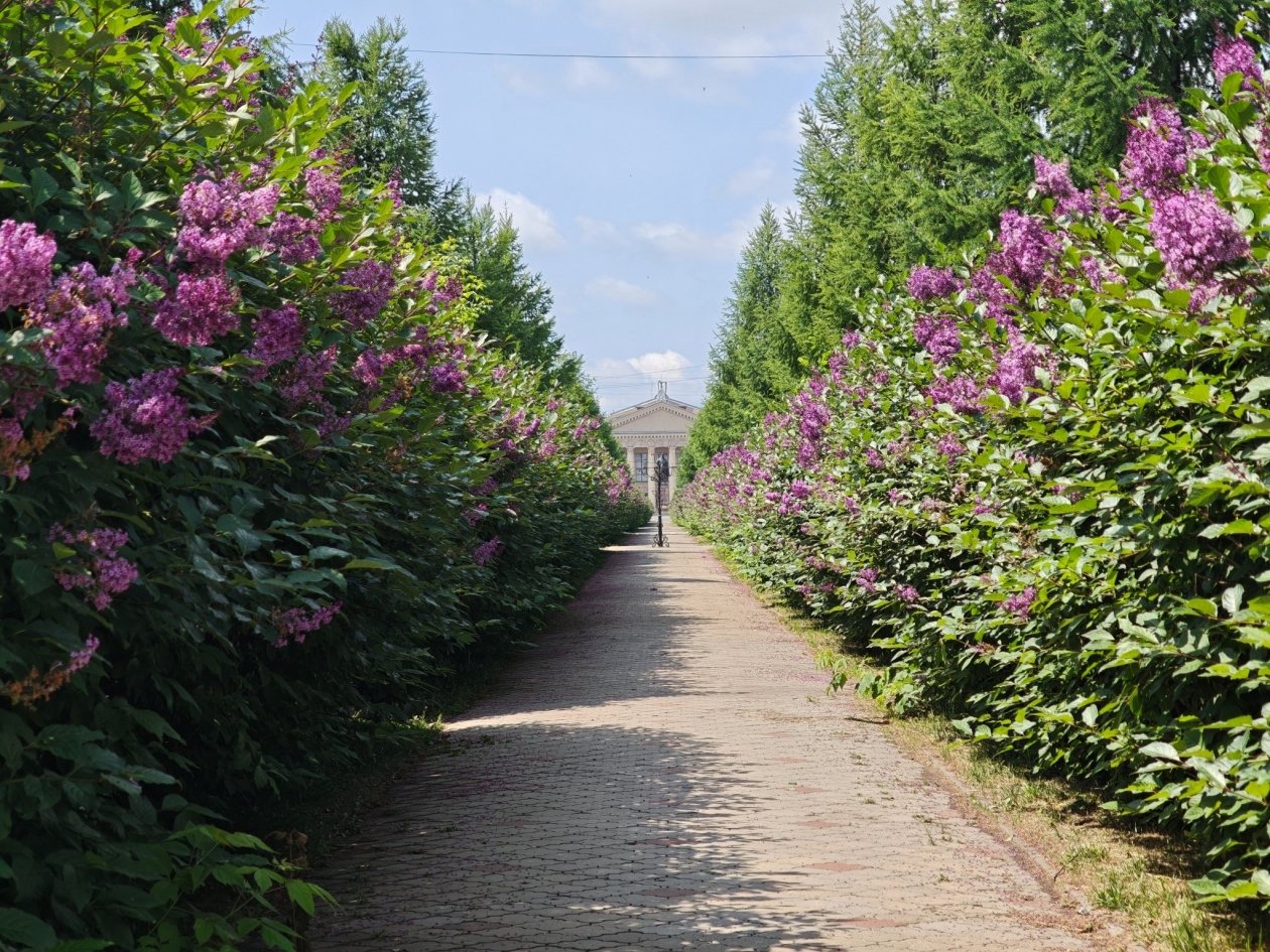 Анастасия Вострецова, корр. ИА AngarskMedia