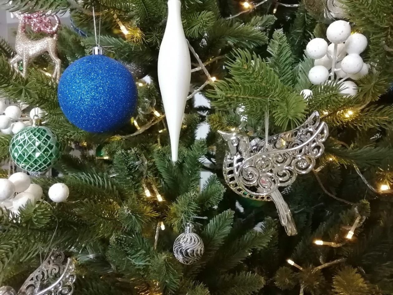 Тематическое фото Анета Абрамченко, ИА ChitaMedia