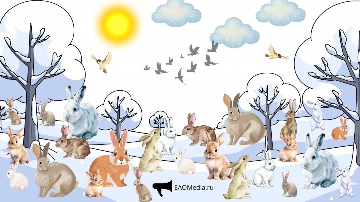 Тематическое фото ИА EAOMedia