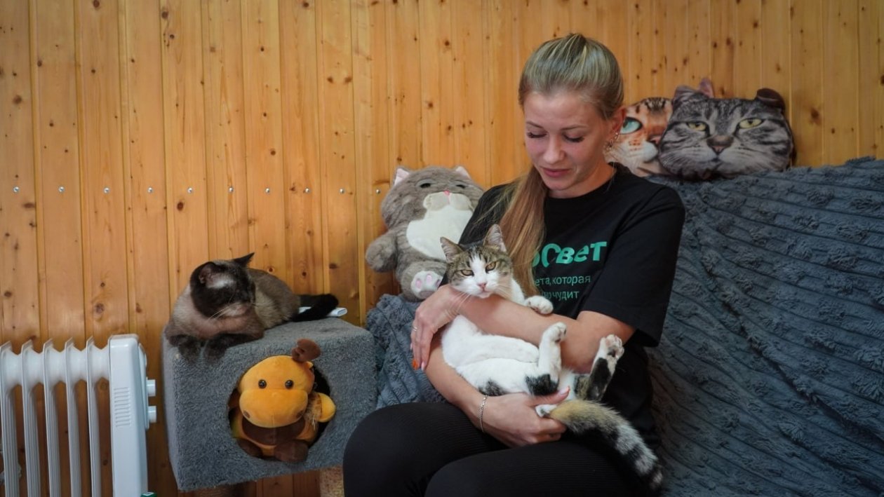 Ветслужба Ялты