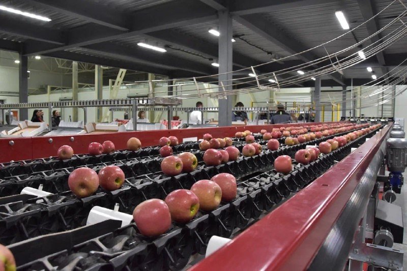 пресс-служба администрации Краснодарского края