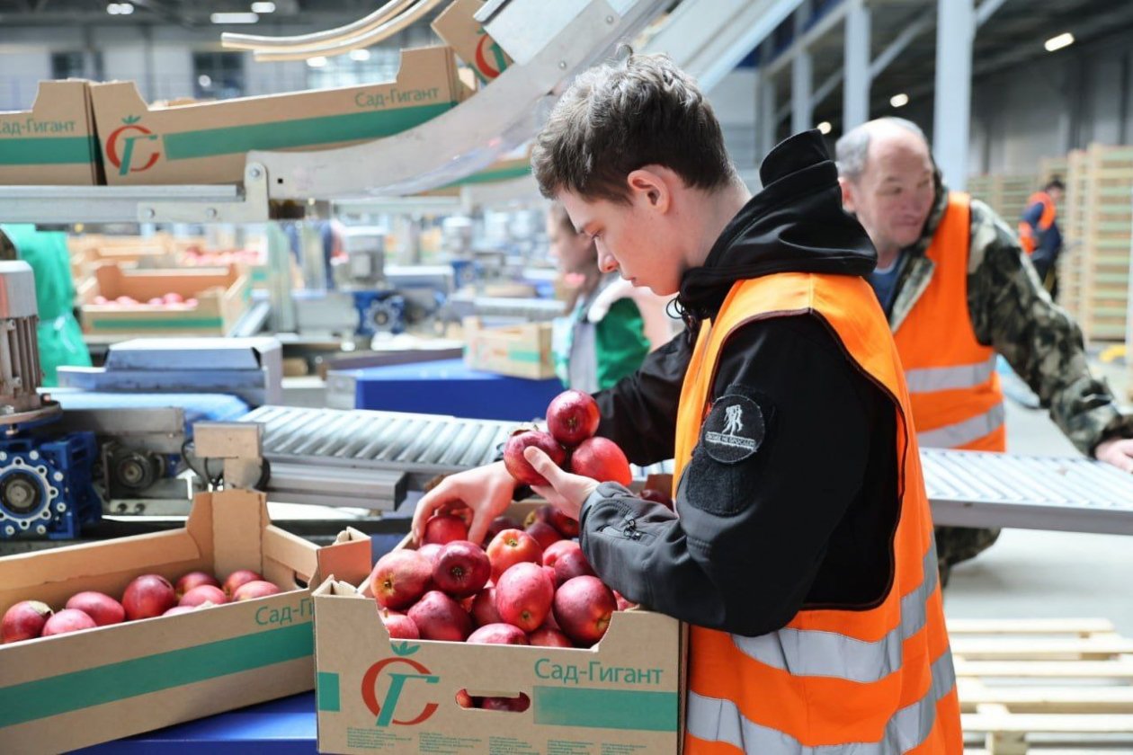 Фруктохранилища Кубани способны содержать до 420 тысяч тонн плодов пресс-служба администрации Краснодарского края