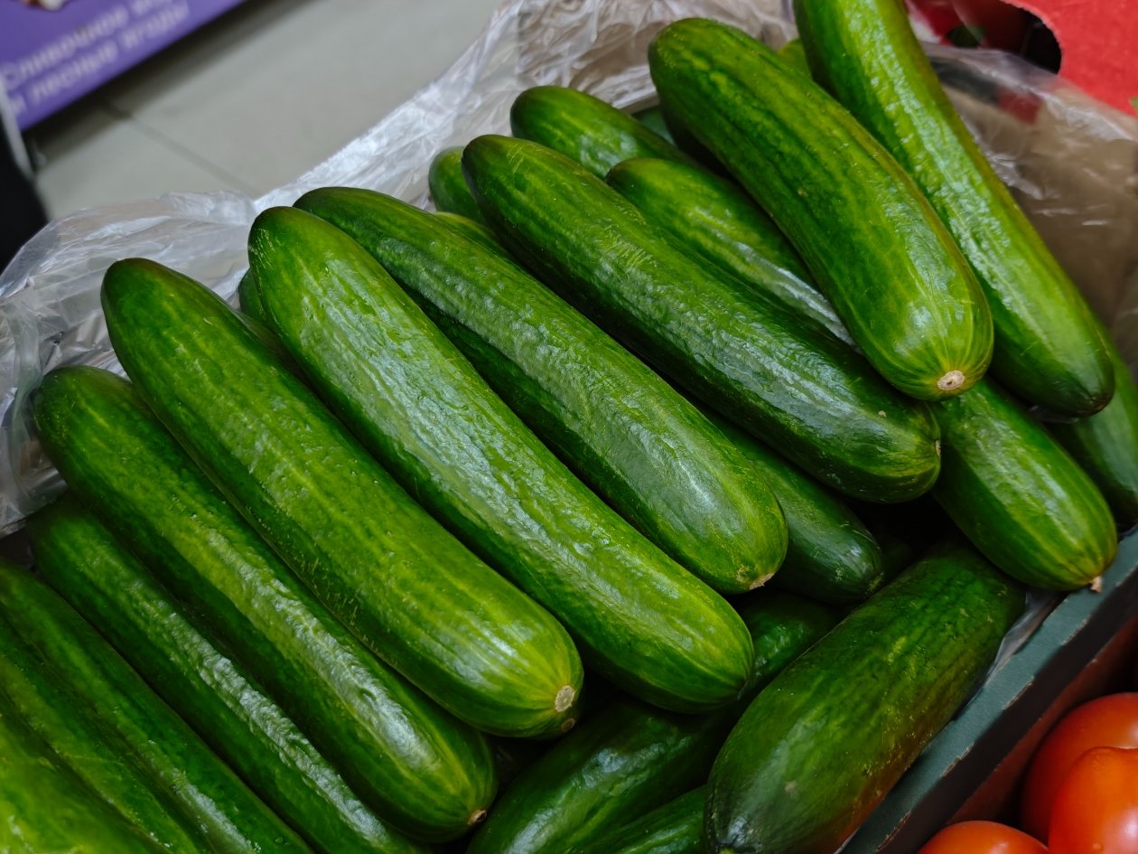 Огурцы — рекордсмены: собираю урожай до 12 кг - ранние, стабильные, без горечи Анастасия Вострецова, корр. ИА AngarskMedia