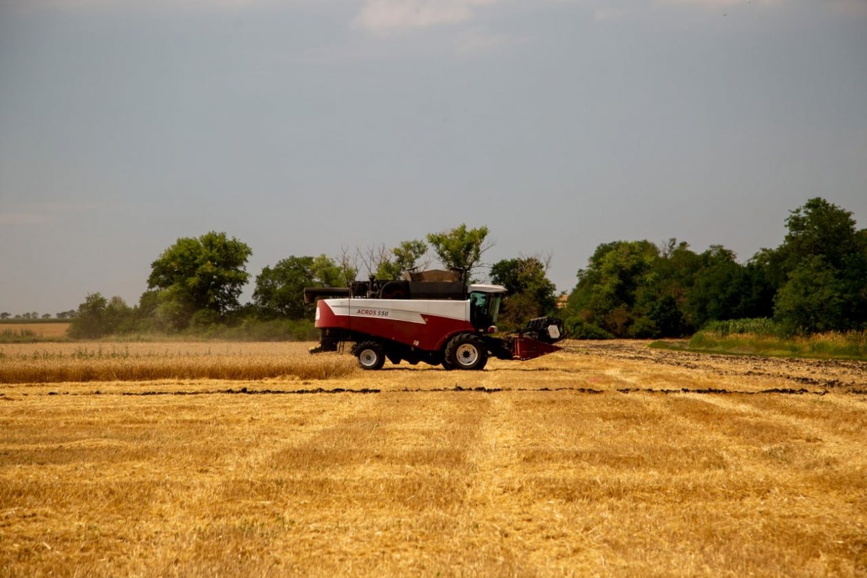 ИА Stavropol.Media