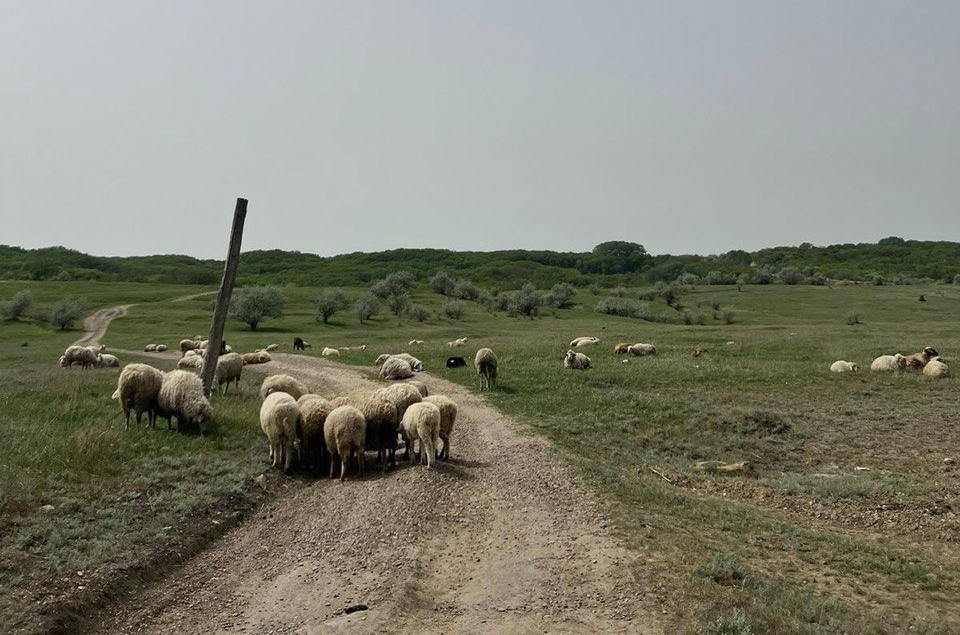 ИА Stavropol.Media
